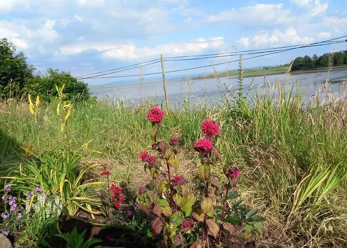 2 Quay Road, Killala. Stunning Sea Front *