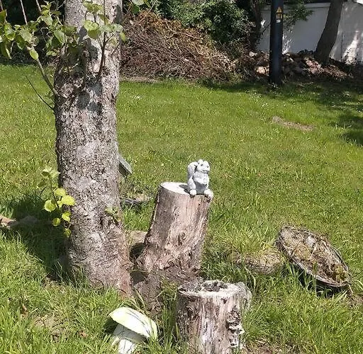 Dom wakacyjny 2 Quay Road, Killala. Stunning Sea Front *